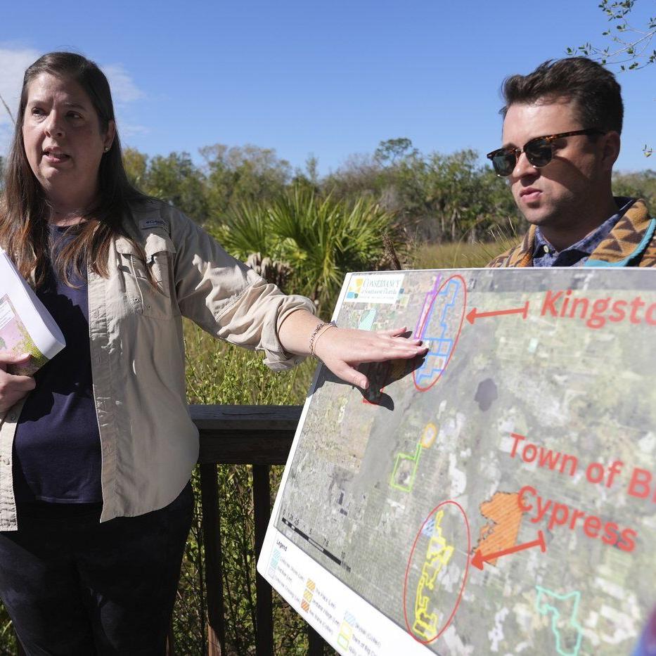 The endangered Florida panther faces the dual threats of urban sprawl and increased traffic